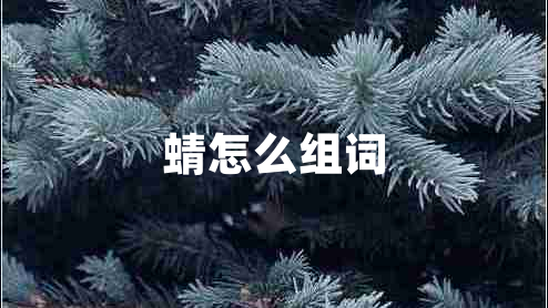 蜻怎么組詞