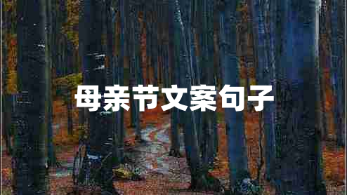 母親節(jié)文案句子