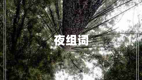 夜組詞