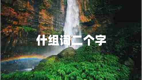 什組詞二個字