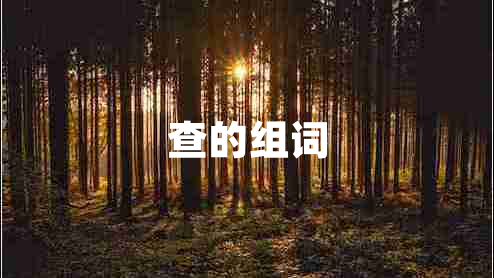 查的組詞