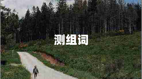 測組詞