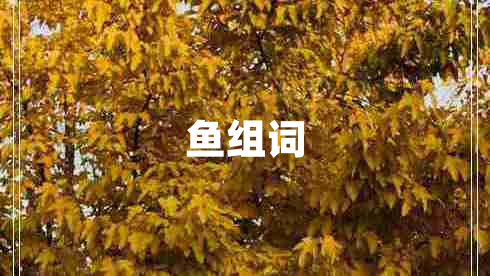 魚(yú)組詞