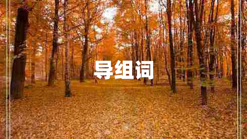 導(dǎo)組詞 導(dǎo)組詞