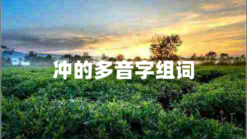 沖的多音字組詞