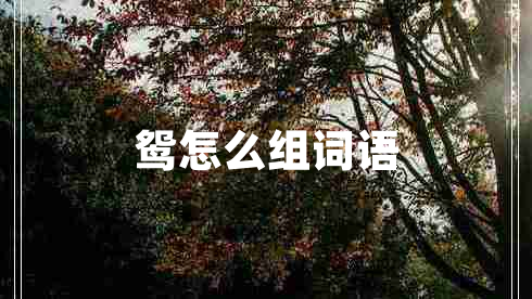 鴛怎么組詞語