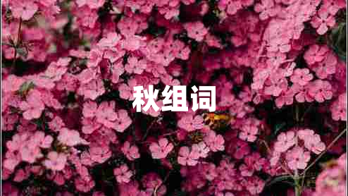 秋組詞 秋組詞