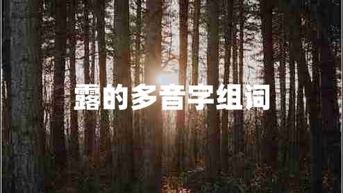 露的多音字組詞