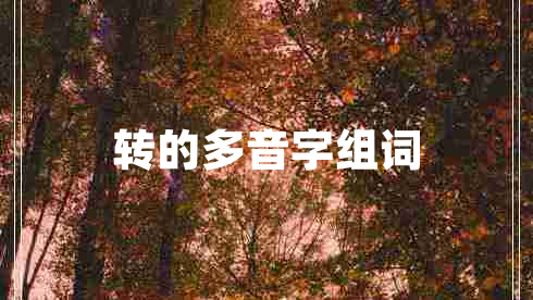 轉(zhuǎn)的多音字組詞