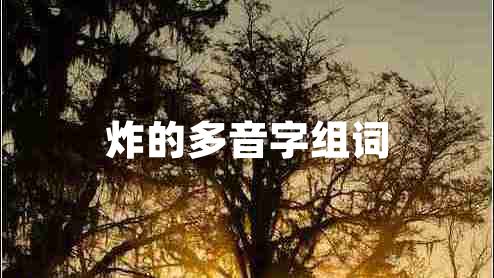 炸的多音字組詞