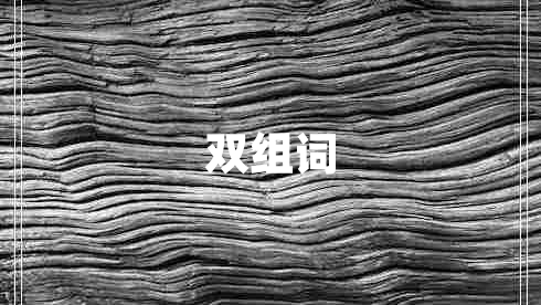 雙組詞