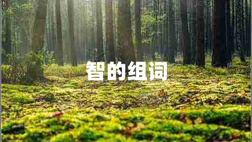 智的組詞