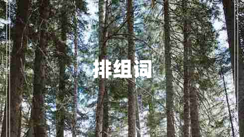 排組詞