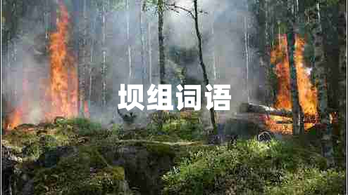 壩組詞語