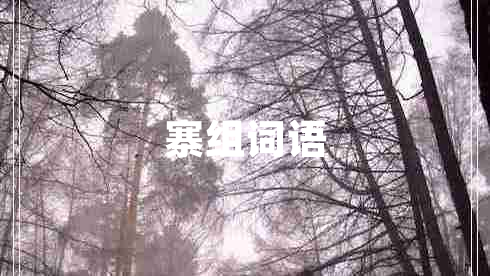 寨組詞語(yǔ)
