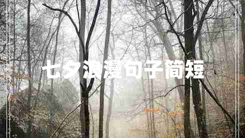 七夕浪漫句子簡短