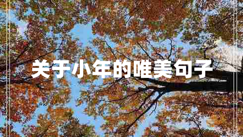關(guān)于小年的唯美句子