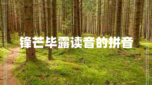 鋒芒畢露讀音的拼音