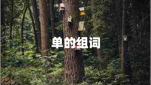 單的組詞 單的組詞