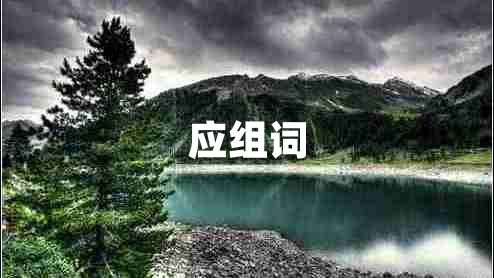 應(yīng)組詞