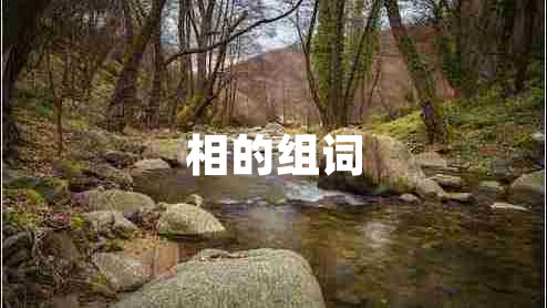 相的組詞 相的組詞
