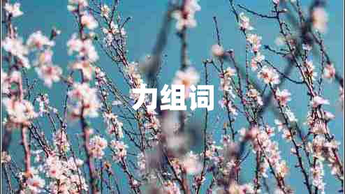 力組詞