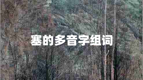塞的多音字組詞 塞的多音字組詞