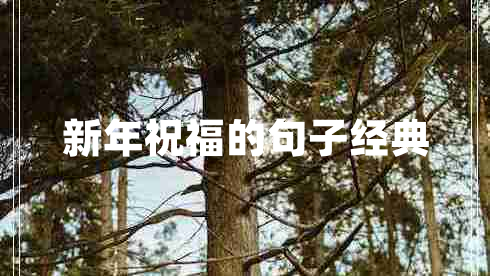 新年祝福的句子經(jīng)典 新年祝福的句子經(jīng)典
