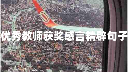 優(yōu)秀教師獲獎(jiǎng)感言精辟句子