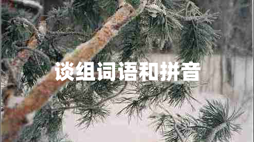 談組詞語和拼音