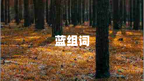 藍(lán)組詞