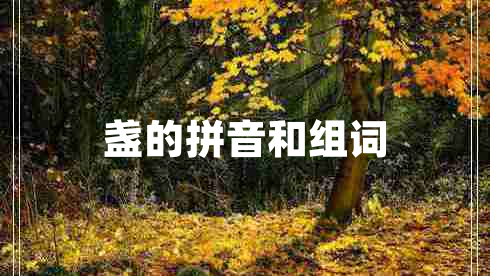 盞的拼音和組詞