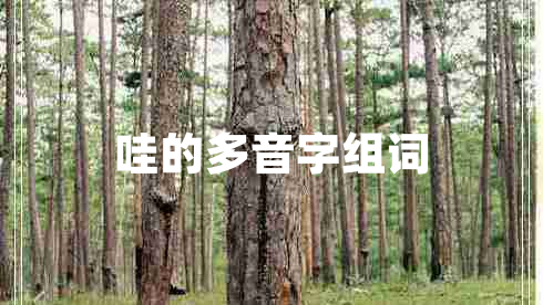 哇的多音字組詞