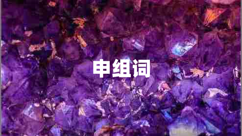 申組詞