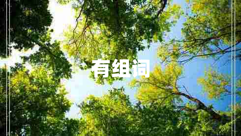 有組詞