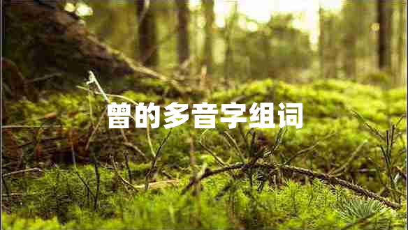 曾的多音字組詞