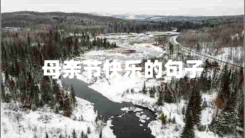 母親節(jié)快樂的句子