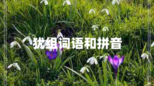 猶組詞語和拼音