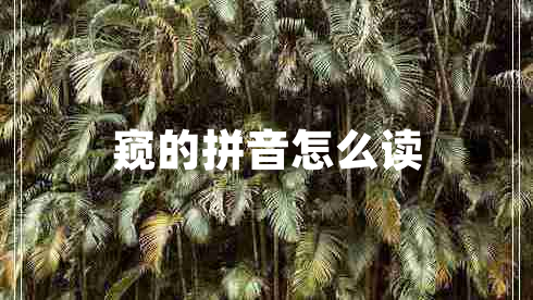 窺的拼音怎么讀