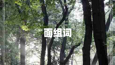 面組詞 面組詞