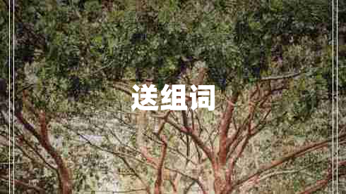 送組詞 送組詞