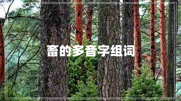 畜的多音字組詞 畜的多音字組詞