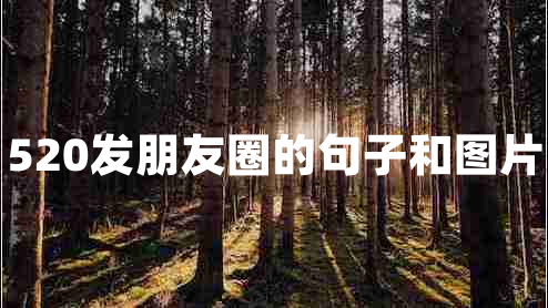 520發(fā)朋友圈的句子和圖片