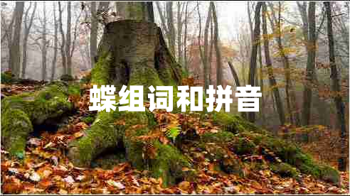 蝶組詞和拼音 蝶組詞和拼音