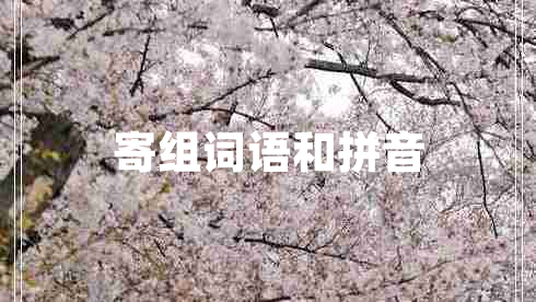 寄組詞語和拼音