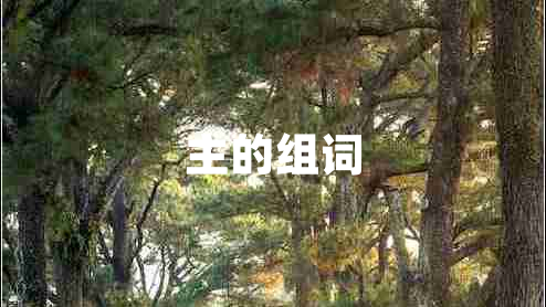 主的組詞 主的組詞