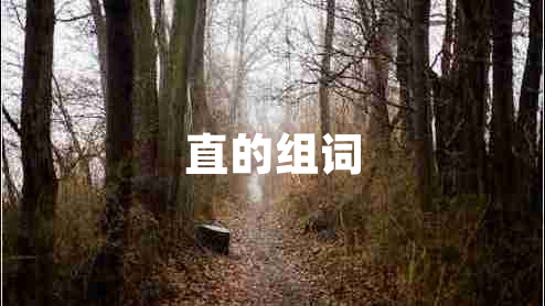 直的組詞