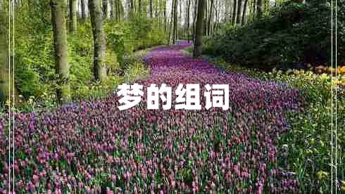 夢(mèng)的組詞