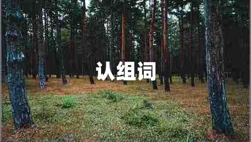 認(rèn)組詞 認(rèn)組詞