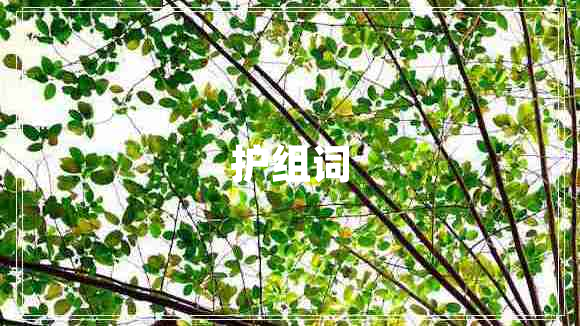 護組詞